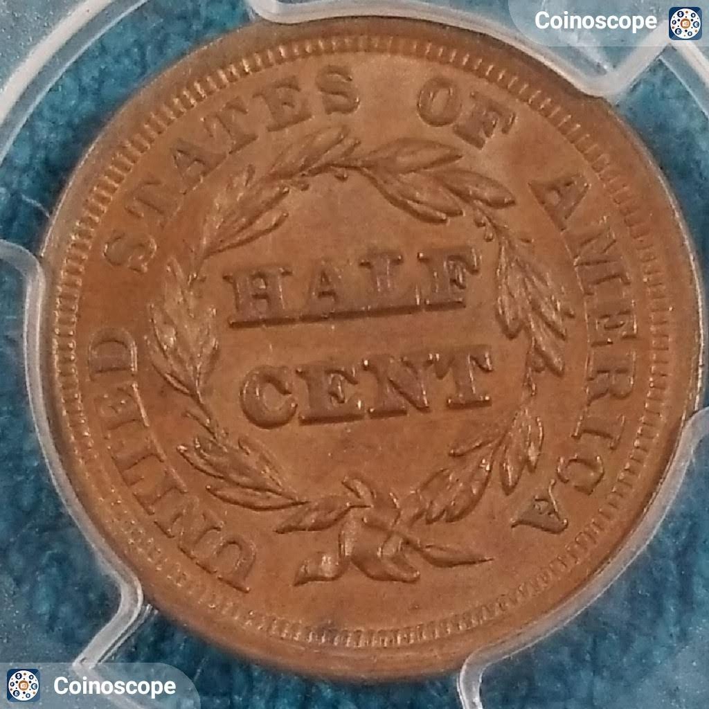 1853-Half-Cent-You-Vs-PCGS