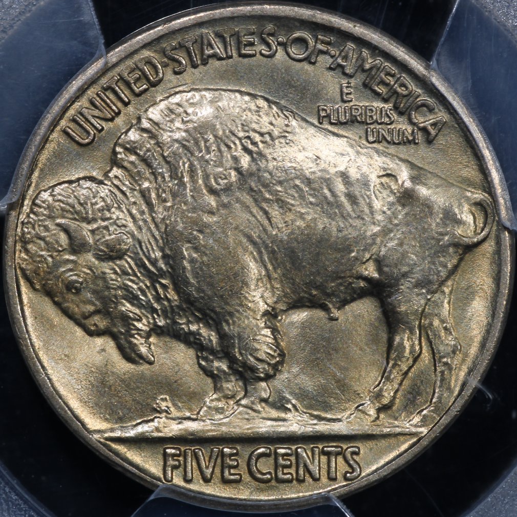 1917-Buffalo-Nickel-You-Vs.-PCGS