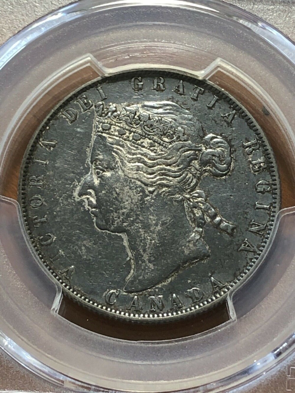 1881-50-Cent-Opinions-Please