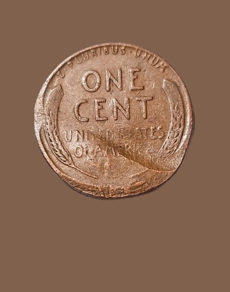 Here's-A-Bunch-Of-Wheats-That-Are-A-Little-Weird.