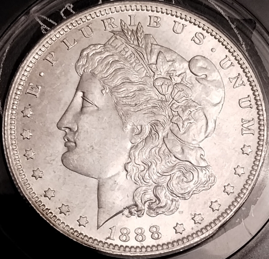 1888-O-Morgan-Dollar---Guess-The-Grade-And-VAM