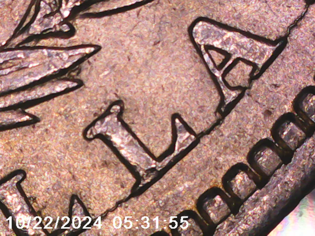 1891-O-Morgan-Silver-Dollar---VAM-1A2-Or-1A3?