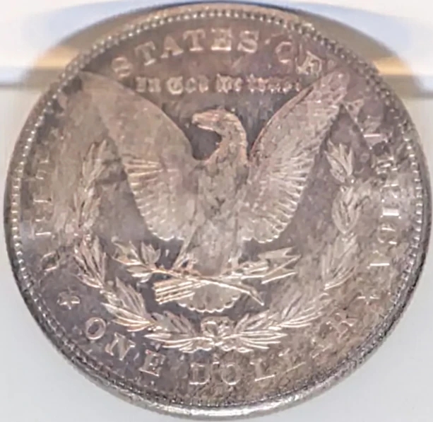 1878-S-Morgan-Silver-Dollar---You-Vs.-PCGS