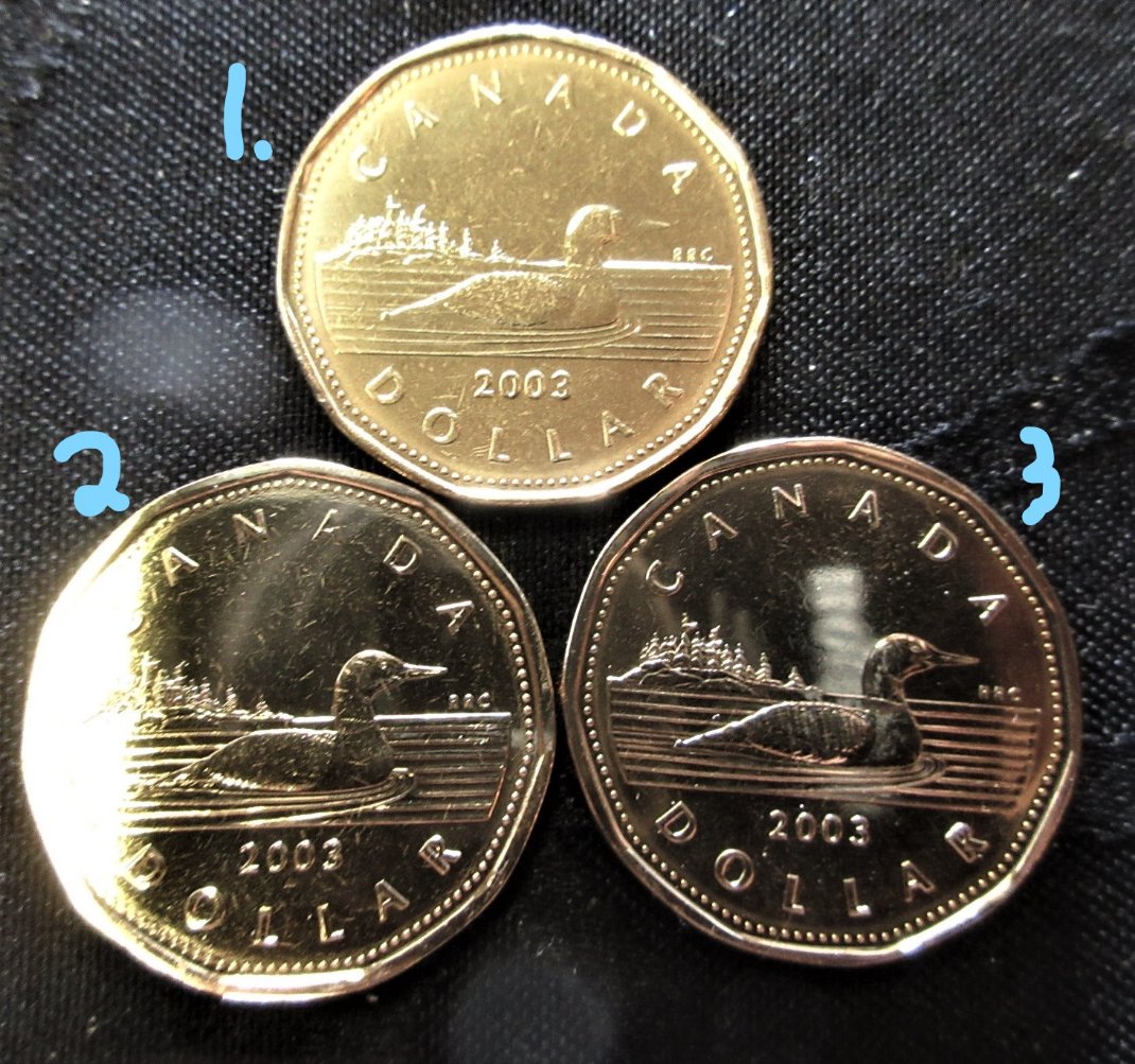 Have-You-Found-These-Loonies?