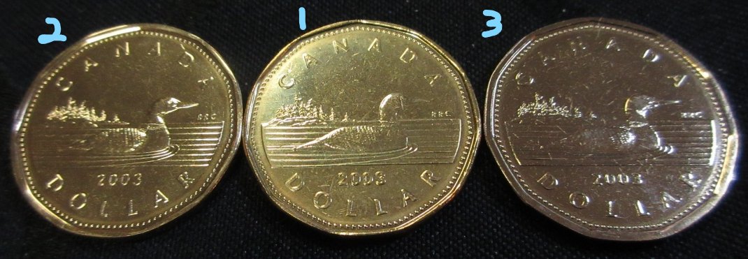 Have-You-Found-These-Loonies?