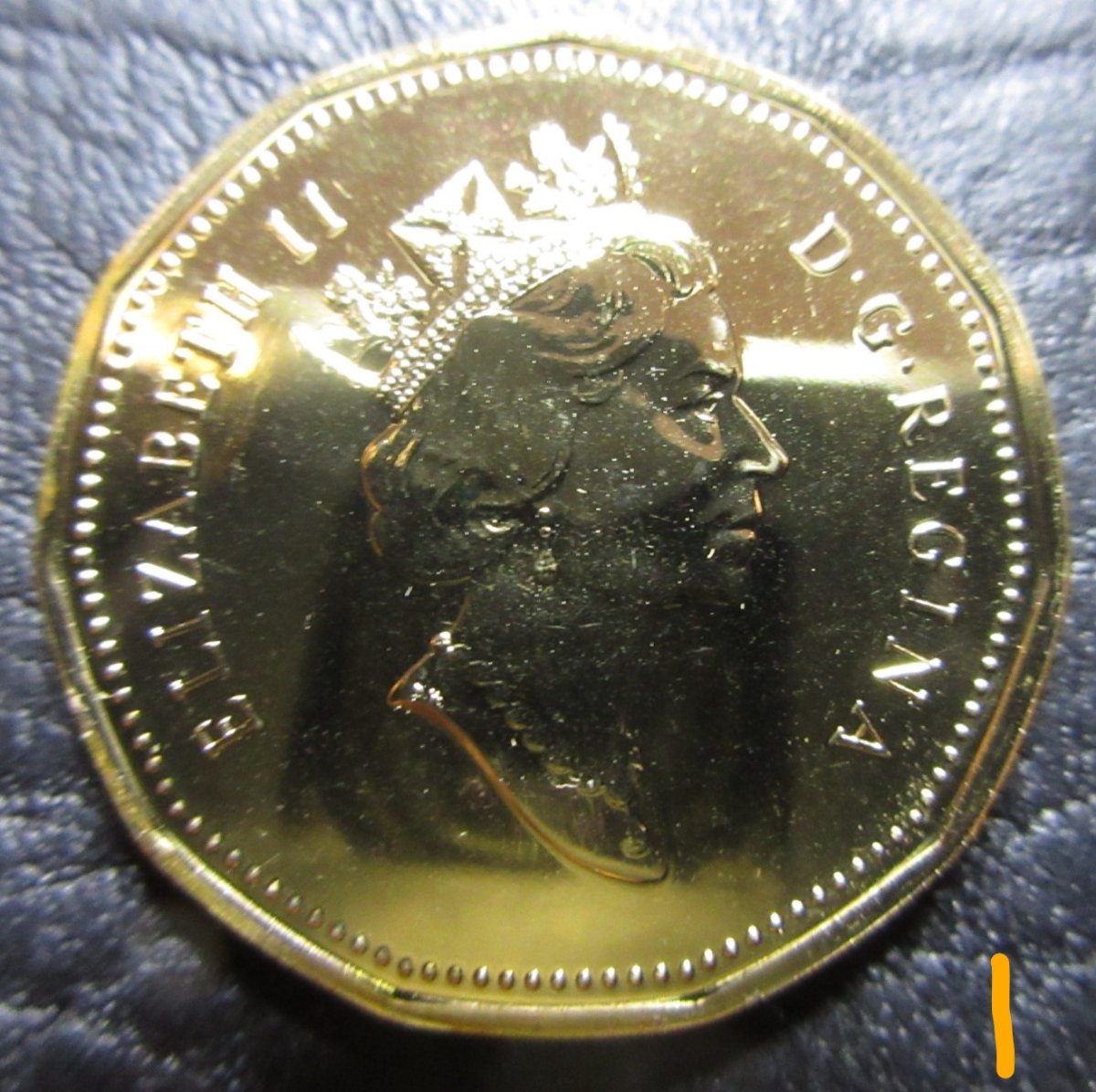 Identifying-1992-Loonie---Is-#1-Specimen-Or-Proof-Like?