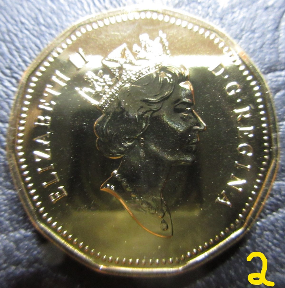 Identifying-1992-Loonie---Is-#1-Specimen-Or-Proof-Like?