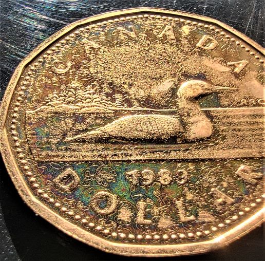 What-Is-Going-On-Here?-Deteriorating-Lacquer-On-NCLT-Loon-Dollar.