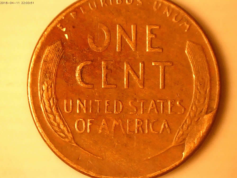 1954-S-Lincoln-Reverse-Cud-In-Coc-Found