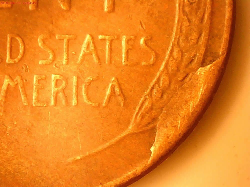 1954-S-Lincoln-Reverse-Cud-In-Coc-Found