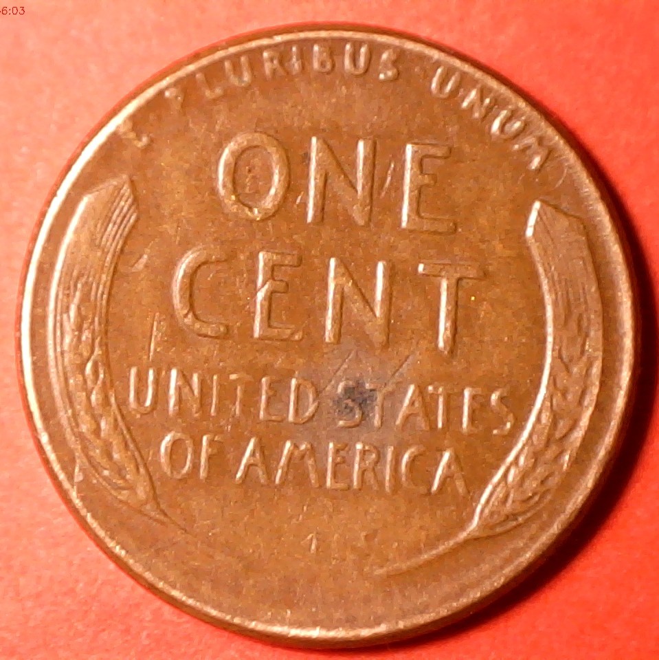 1955-Wheat-Cent:-Ldb34-1955-001-Different-Stage-Maybe-?