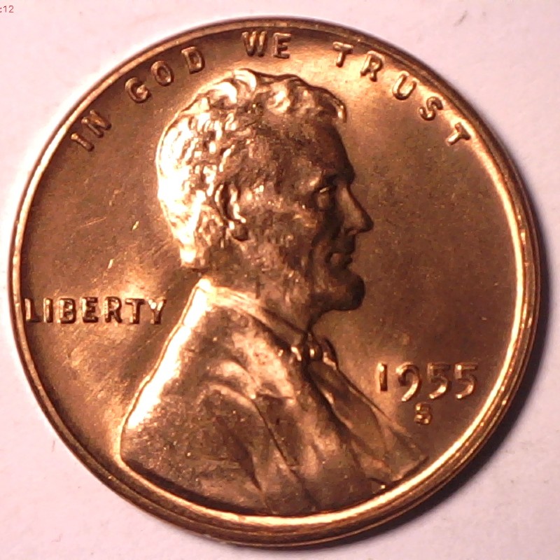 1955-S-Lincoln-Early-Stage-Retained-Cud