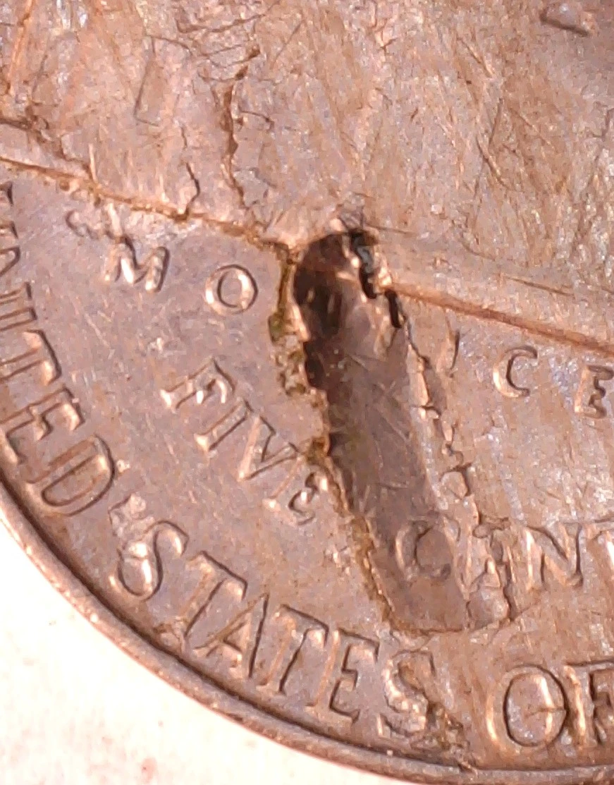 1958-D-Jefferson-Nickel-Lamination