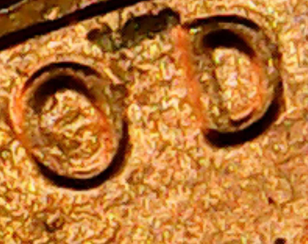 2017-P-DDO-Lincoln-Shield-Cent?