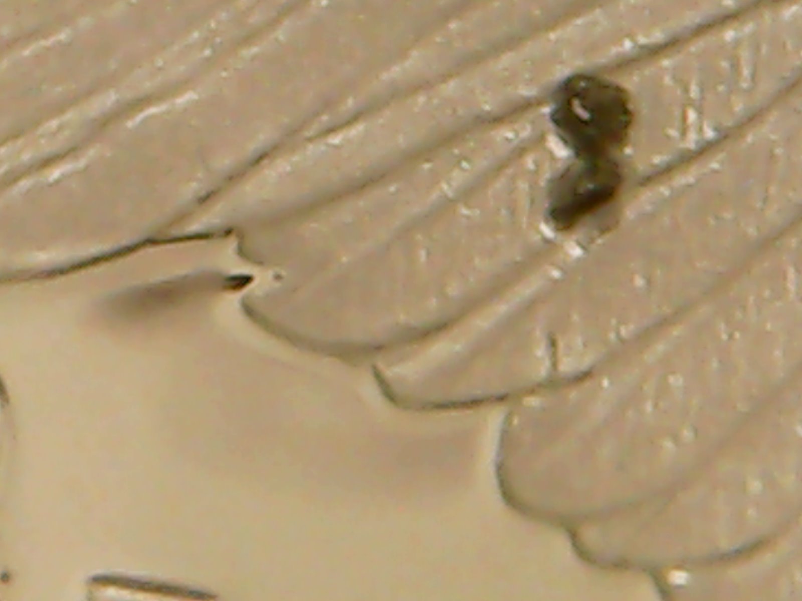 2022-W-American-Silver-Eagle-Error