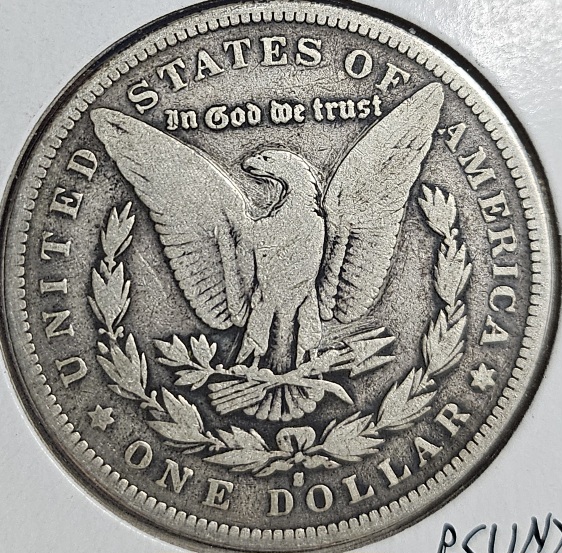 Morgan-1893-S-Opinions