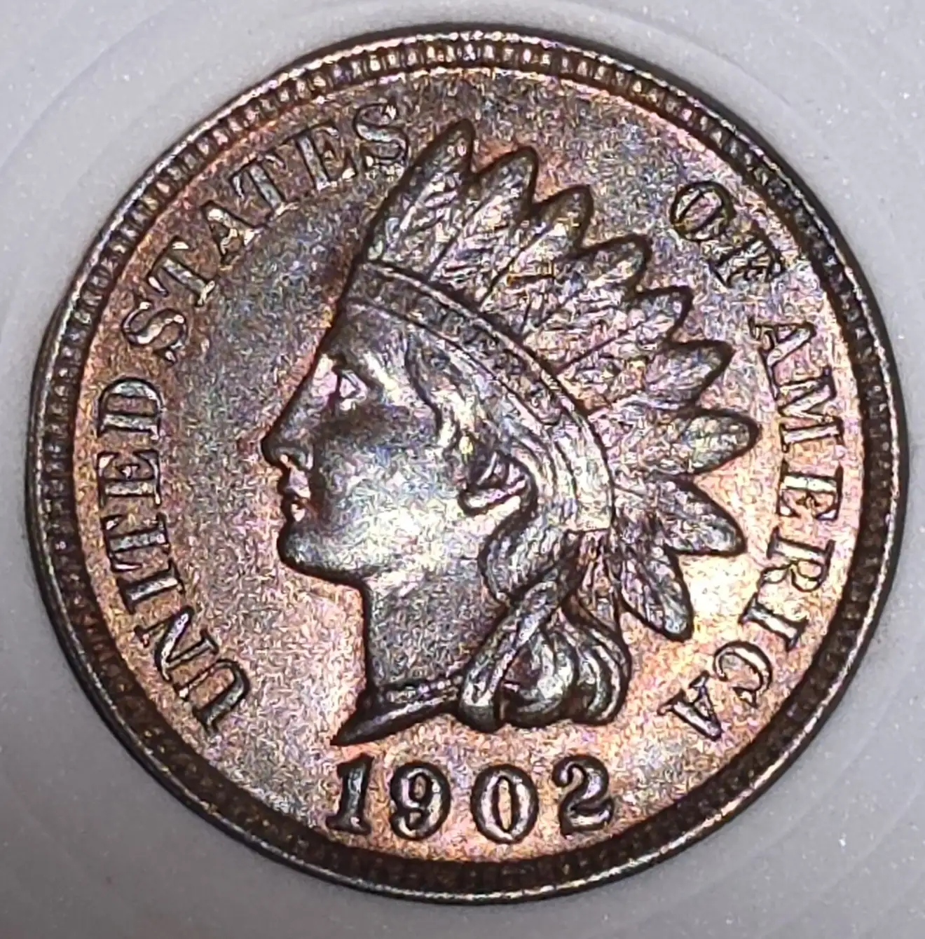 1902-Indian-Head-Cent-For-Grading