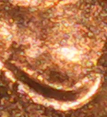 2021-D-Penny-Error-Questions