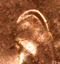 2021-D-Penny-Error-Questions