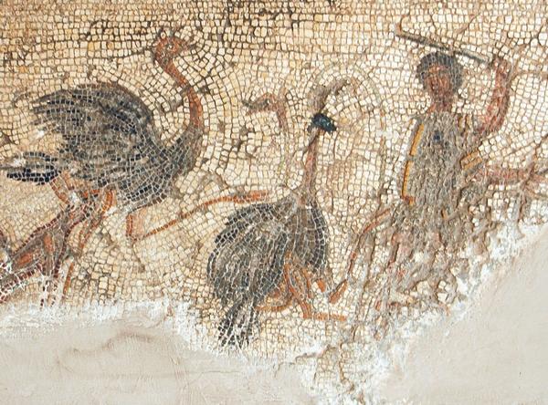 The-Late-Roman-Campgate
