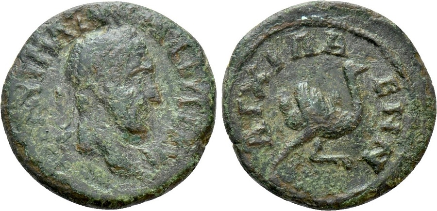 The-Late-Roman-Campgate