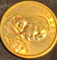 2000-P-Sacagawea-Dollar-Coin:-Pls-Take-A-Look,-Opinions-Very-Much-Welcome!