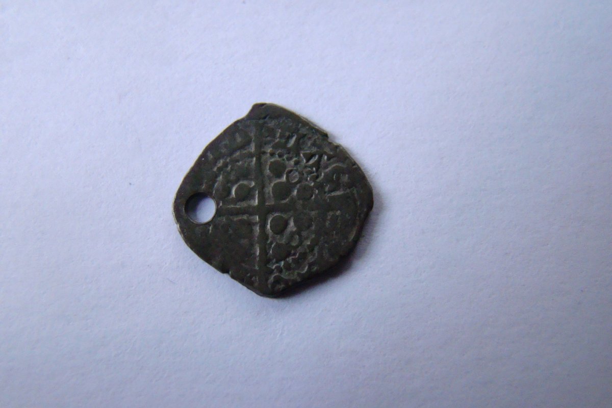 Penny-Type-With-Fish?