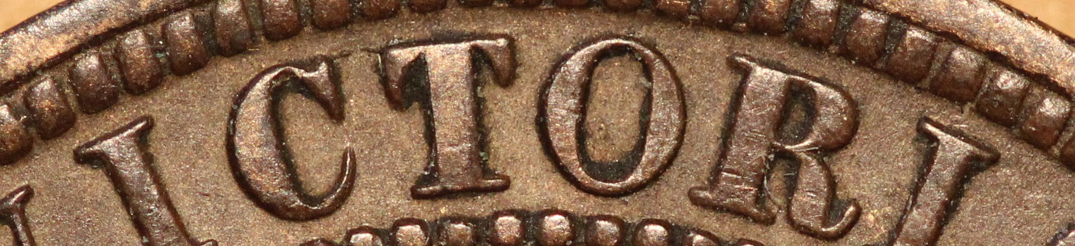 1876-Large-Cent-Finally-Got-One.