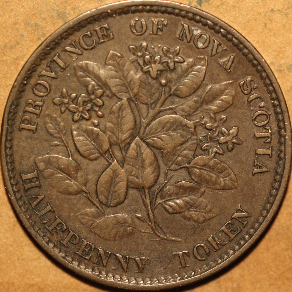 2-1856-Nova-Scotia--Half-Penny-Tokens-For-Grade-And-Comments