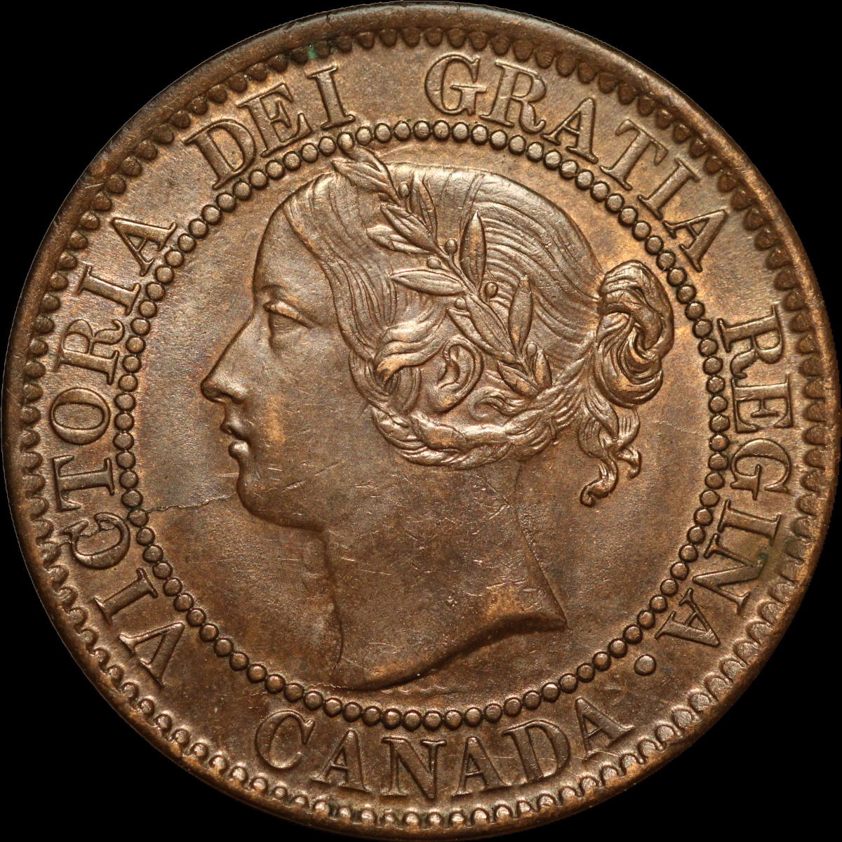 Help-Grade-This-1859-Pc-244-With-Die-Clash-9-Under-Chin