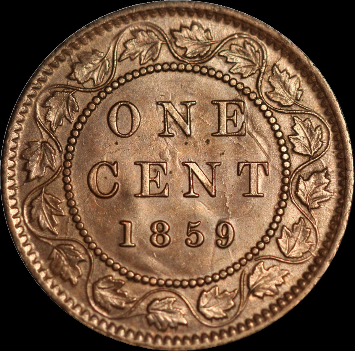 Help-Grade-This-1859-Pc-244-With-Die-Clash-9-Under-Chin