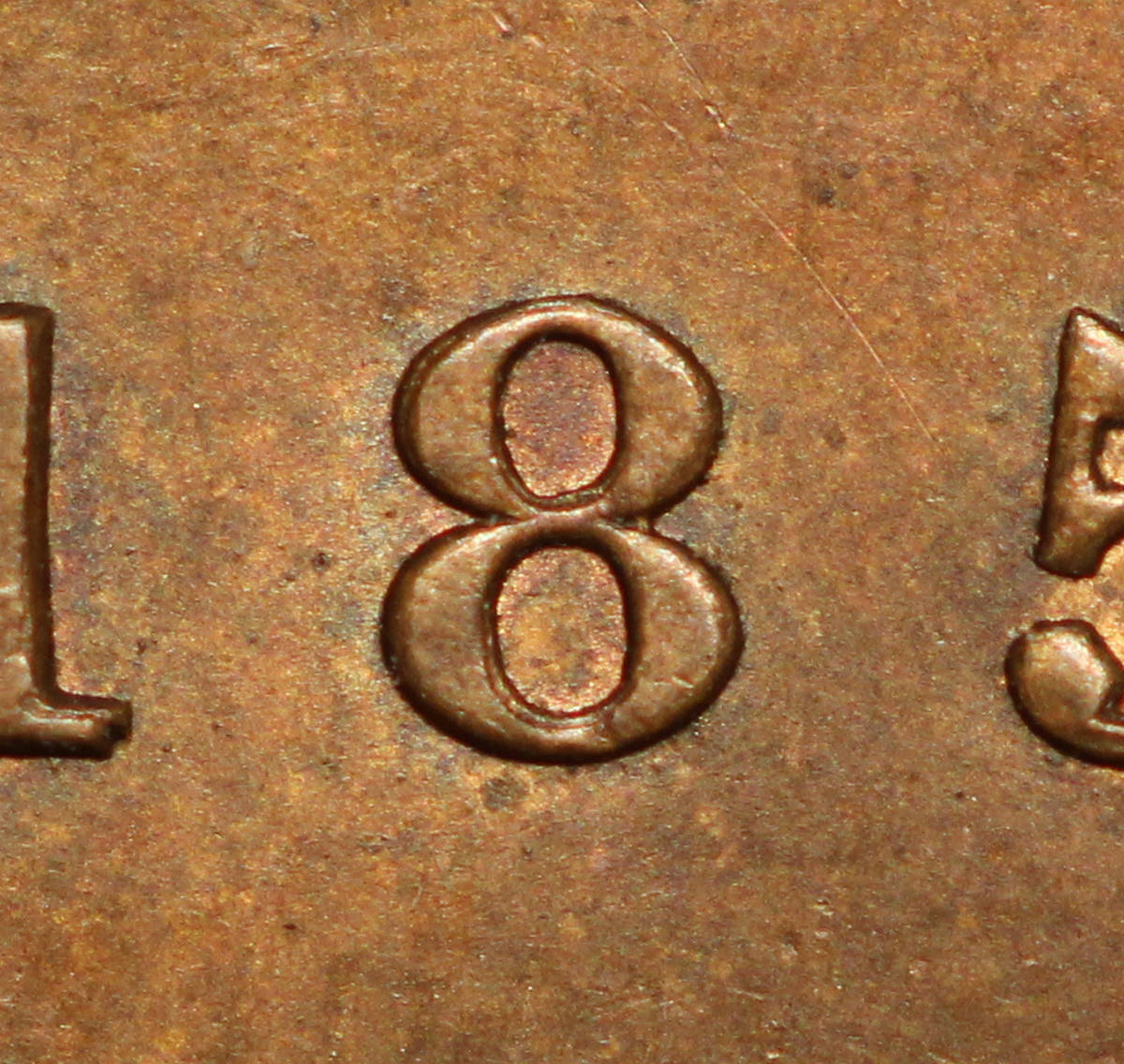 1859-Vicky-Is-A-Double-1-And-Double-8-Indicative-To-A-Certain-Haxby?