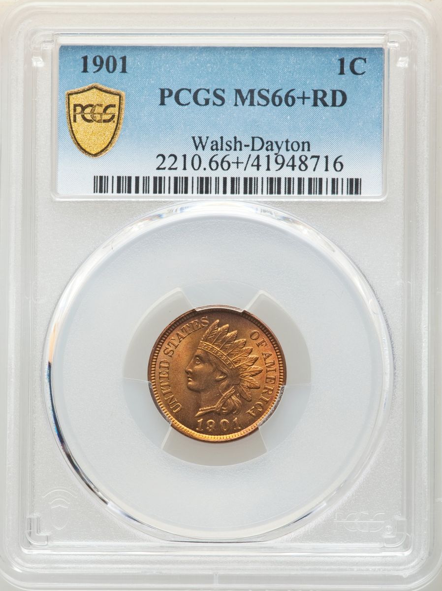 Help-With-Identifying-The-Spotting-On-This-1901-Indian-Head-Cent's-Reverse.
