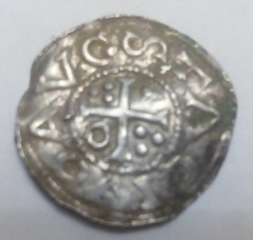 Need-A-Help-To-Identify-Wonderful-Medieval-Anglo-Saxon?-Species