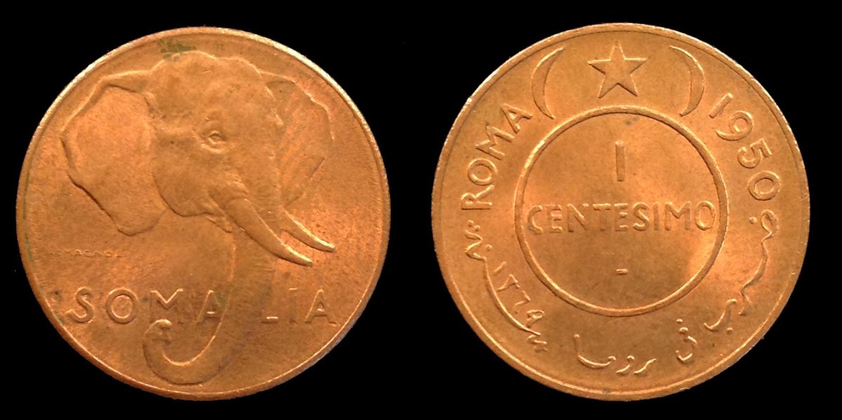 Post-Your-Coins-Representing-The-Animal-Kingdom.