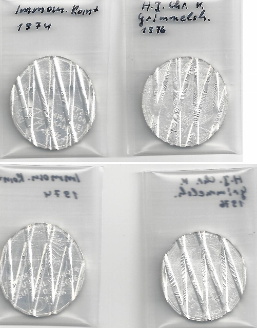 Waffle-Coins-/-Canceled-Coins