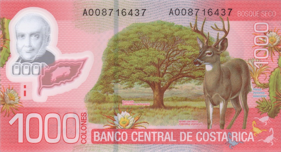 My-Zoo