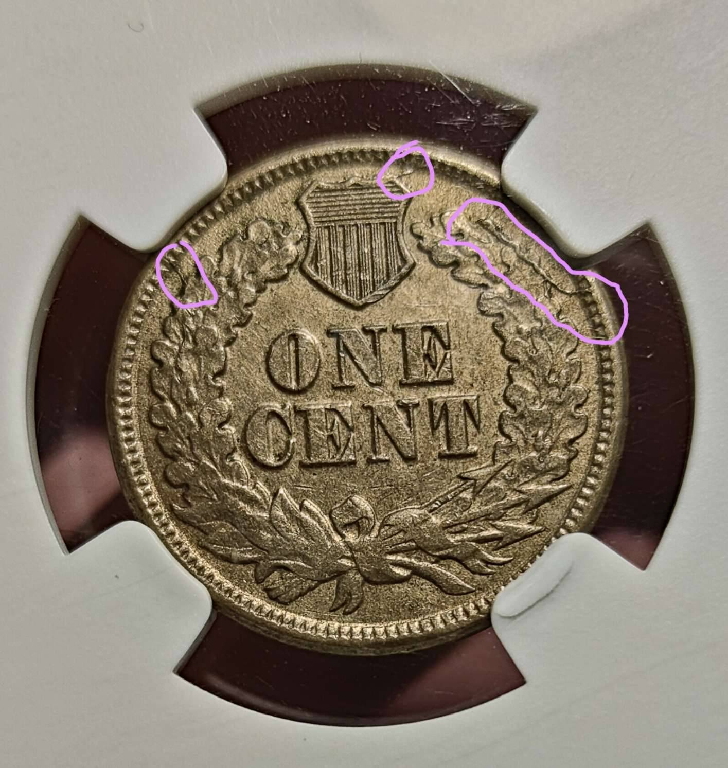 1863-IHC-New-Variety-Found-?