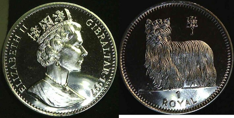 Post-Your-Coins-Representing-The-Animal-Kingdom.