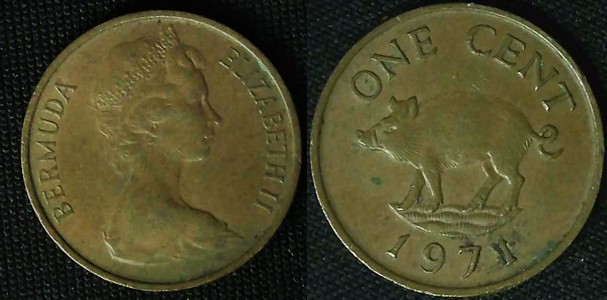 Post-Your-Coins-Representing-The-Animal-Kingdom.