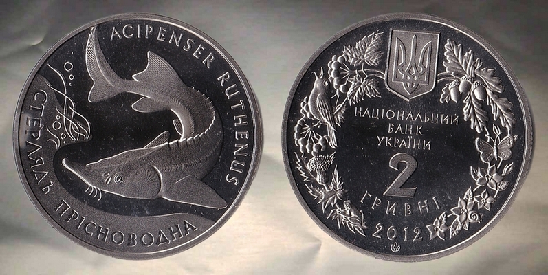 Around-The-World-With-Coins---A-Coin-Geography-Game