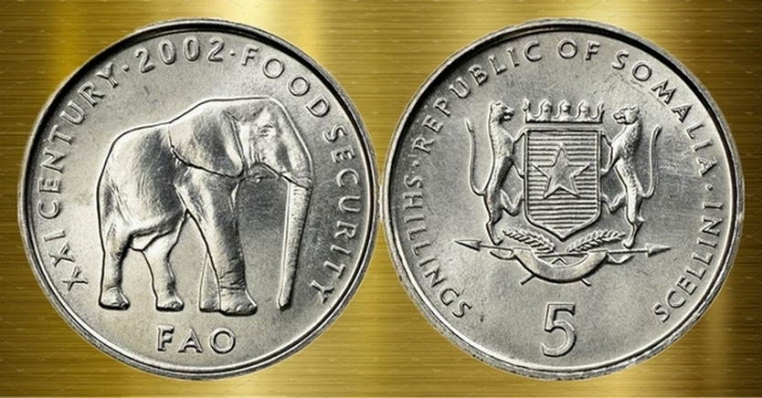 Around-The-World-With-Coins---A-Coin-Geography-Game