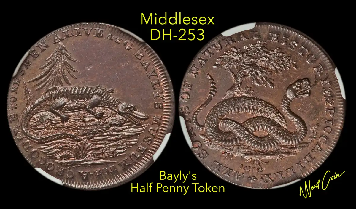 Post-Your-Coins-And-Medals-Featuring-A-Snake.