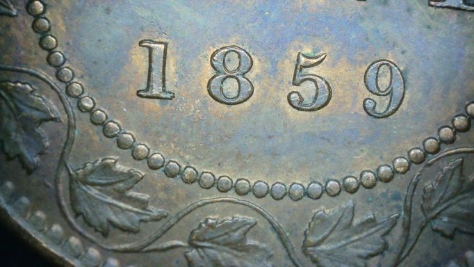 1859-Vicky-Is-A-Double-1-And-Double-8-Indicative-To-A-Certain-Haxby?