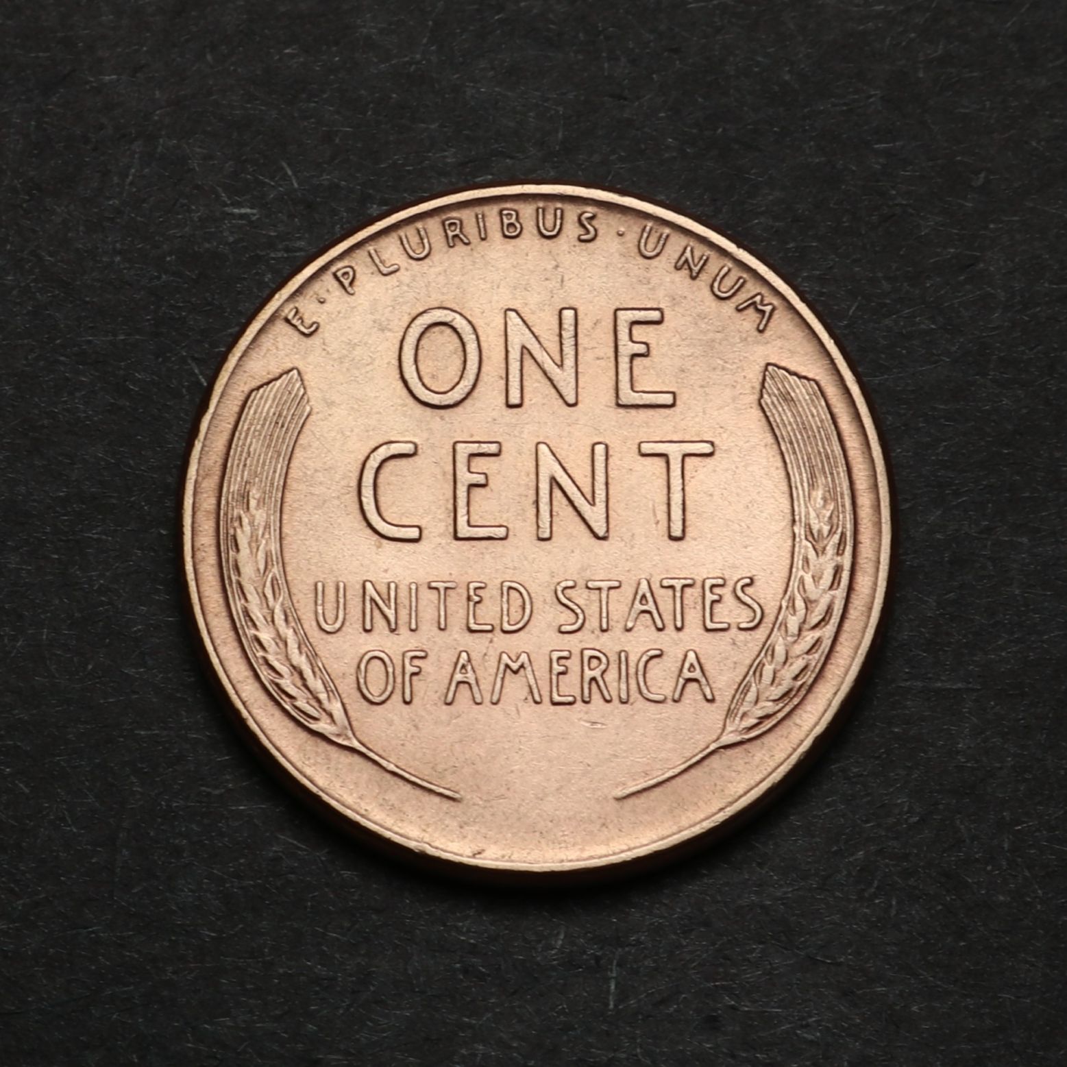 1955-P-LWC-Error-Type?