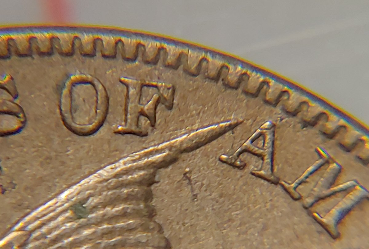 Possible-1856-Flying-Eagle-Cent?-Update:-5/11/22-PCGS-Results-Are-In!