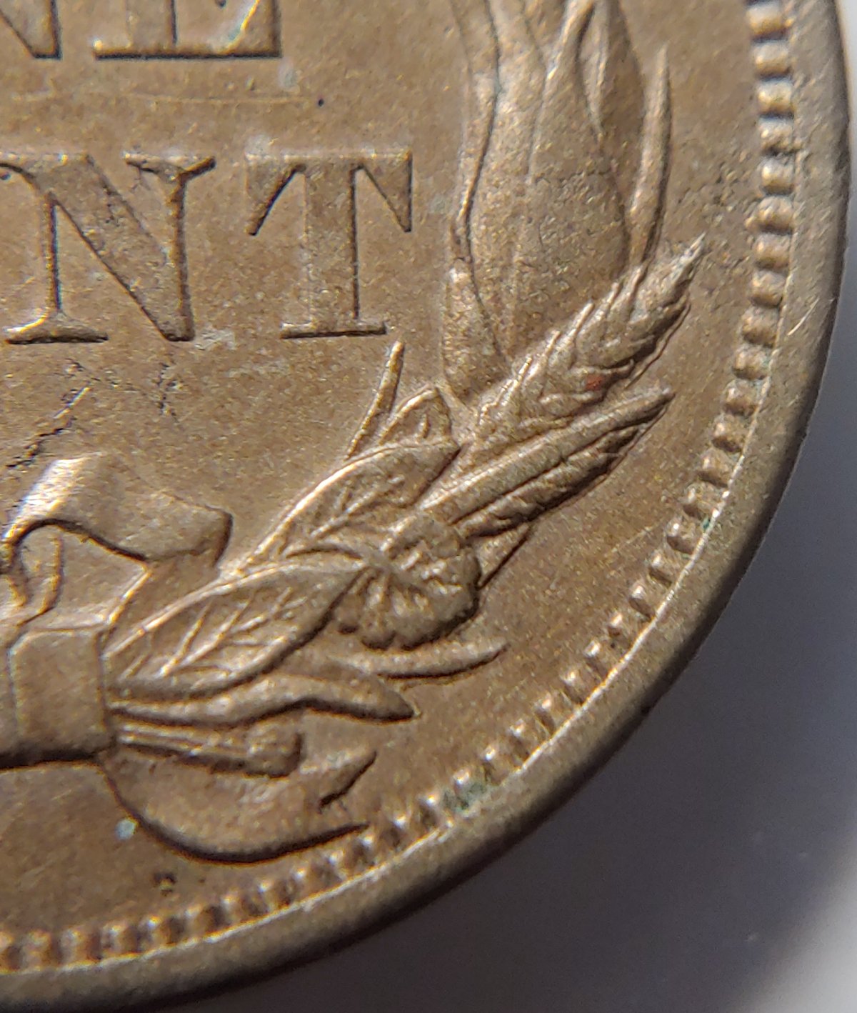 Possible-1856-Flying-Eagle-Cent?-Update:-5/11/22-PCGS-Results-Are-In!