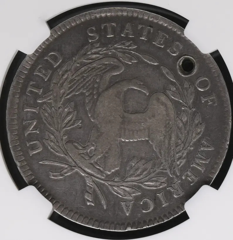 Just-Arrived-From-NGC---1795-Flowing-Hair-Dollar