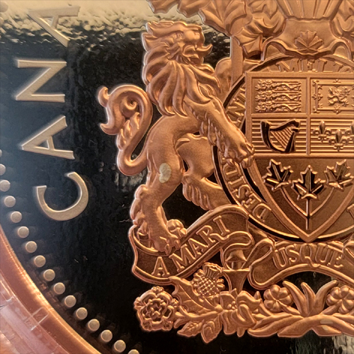 My-2018-5-Oz-50-Cent-Lion-Has-Vitiligo