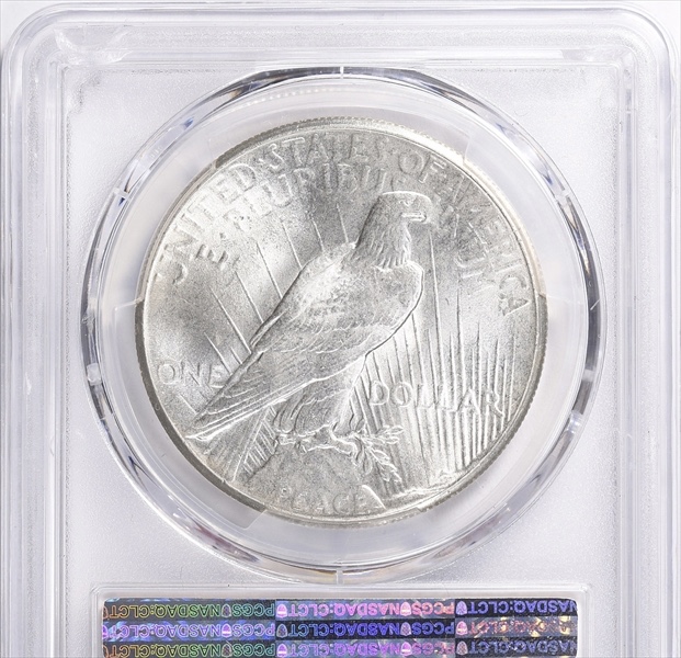 10-Days-Of-Peace-Dollars!